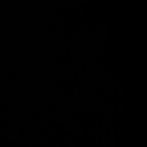 Ag Adriano Goldschmied Women's Black Boot Cut Jeans